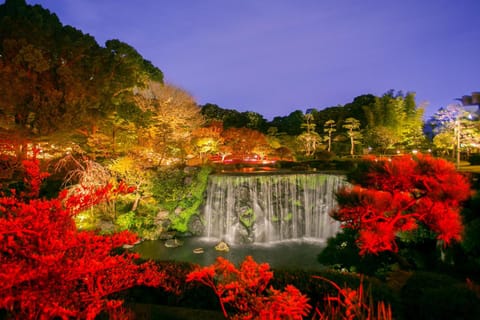 Night, Natural landscape, Garden, Autumn