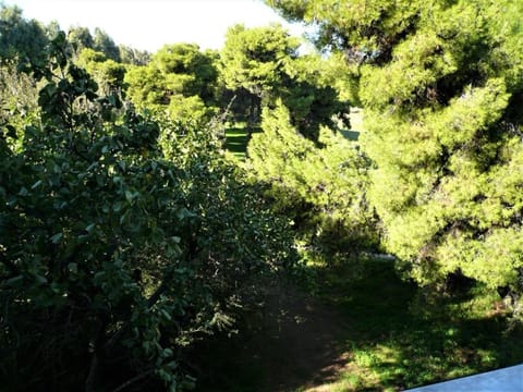 Property building, Garden view