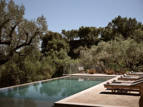 Pool view, Swimming pool, sunbed