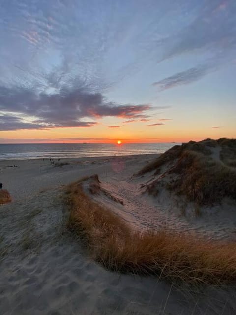 Beach, Sea view, Sunset