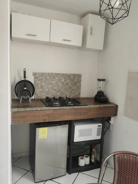 Monoambiente Apartment in San Luis Potosi