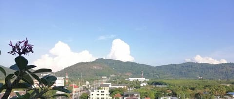 Garden view, Landmark view, Quiet street view