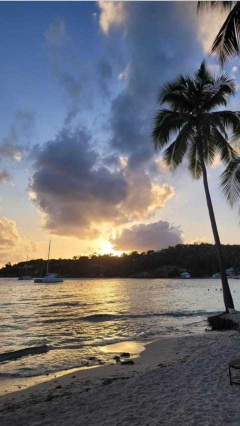 Nearby landmark, Day, Natural landscape, Beach, Sunset