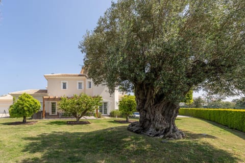 Patio, Garden, Garden view