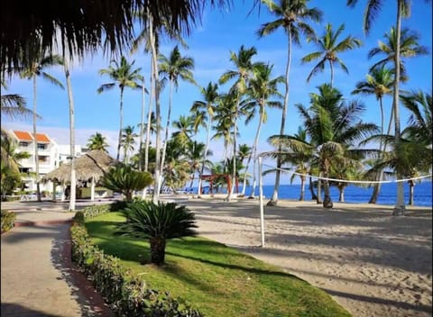 Garden, Garden view, Sea view