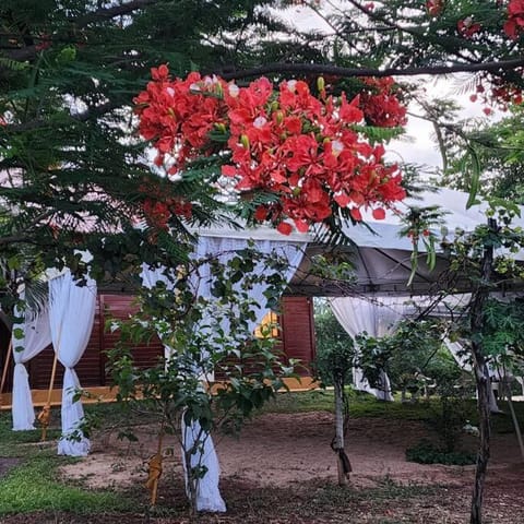 Recanto Áquila - Chalé de Madeira a beira do Lago House in State of Goiás