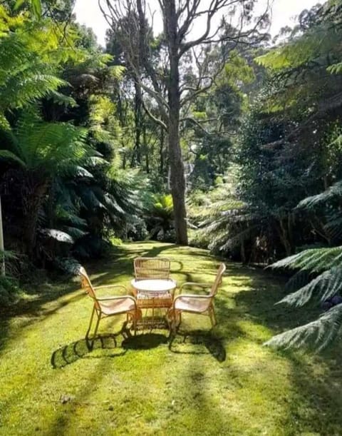 Simply Sassafras - Tree Fern Suite - self-contained Bed and Breakfast in Olinda