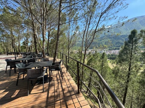 Spring, Day, Natural landscape, View (from property/room), Balcony/Terrace, Dining area, City view, Landmark view, Mountain view