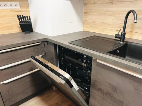 Kitchen or kitchenette, dishwasher