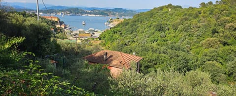 Natural landscape, Sea view