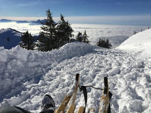 Nearby landmark, Winter