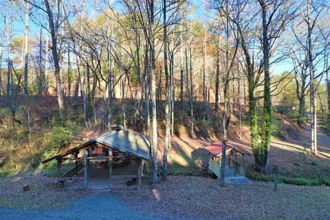 Cute Cabin creek & Firepit #12 House in White County