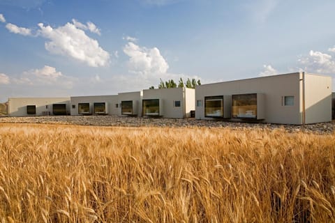 Property building, Nearby landmark, Natural landscape, Summer