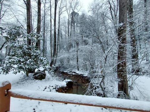 Mountain Cabin in woods 3 minutes to Helen #13 House in White County