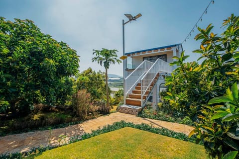 Điểm du lịch canh nông Avocado Farm Farm Stay in Lâm Đồng