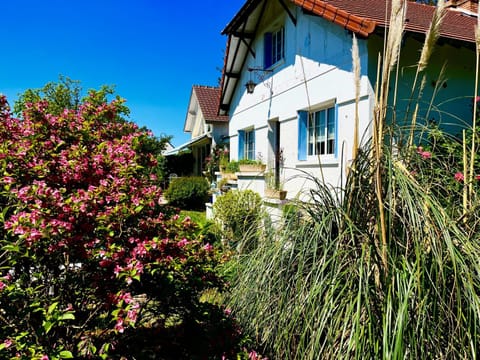 Property building, Spring, Day, Garden, Garden view