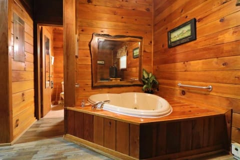 Alpine Mountain Sweetheart Cabin Jacuzzi #6 House in White County