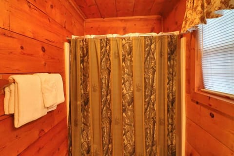 Alpine Mountain Sweetheart Cabin Jacuzzi #8 House in White County