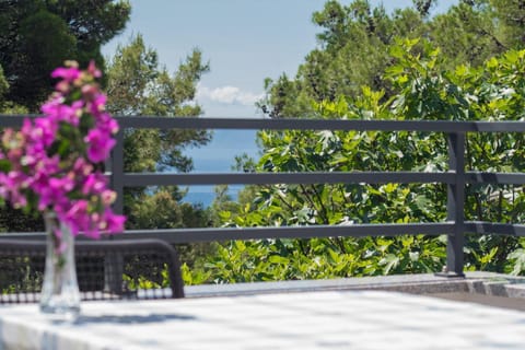 Natural landscape, View (from property/room), Balcony/Terrace, Sea view