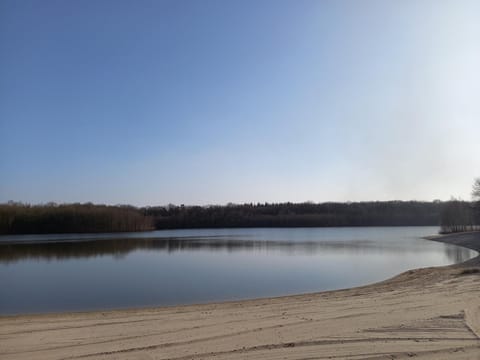 Day, Natural landscape, Beach, Lake view