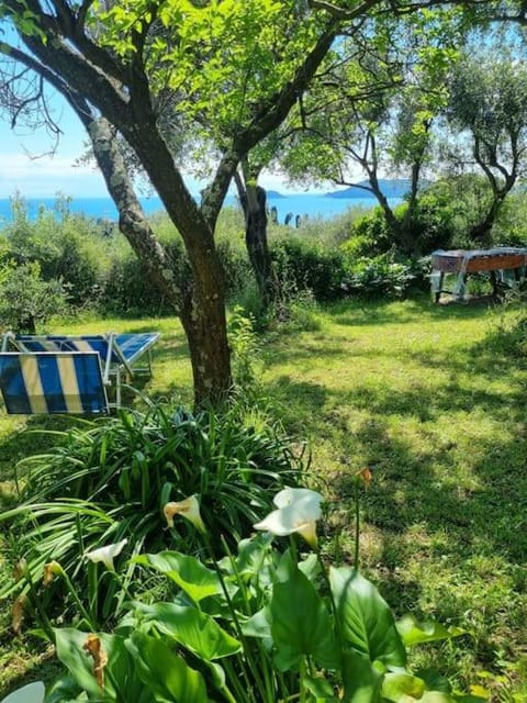 Garden, Sea view