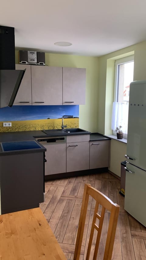 Kitchen or kitchenette, dishwasher, stove