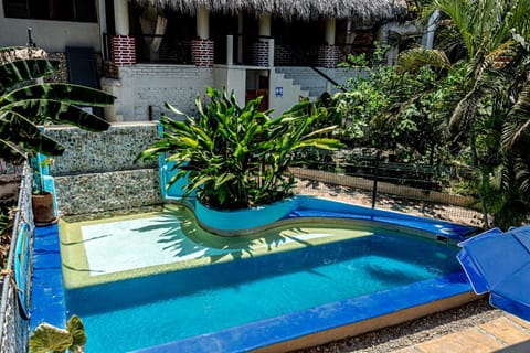 Garden, Garden view, Pool view, Swimming pool