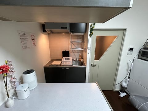 Kitchen or kitchenette, Photo of the whole room, stove