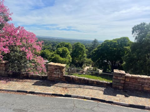 The Wilds on Munro House in Johannesburg