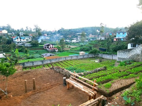 Green Lodge - Farm Stay Apartment in Nuwara Eliya