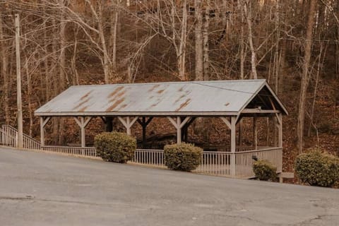 Ivy Garden Chateau House in Pigeon Forge