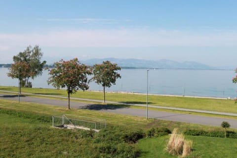 Lake view