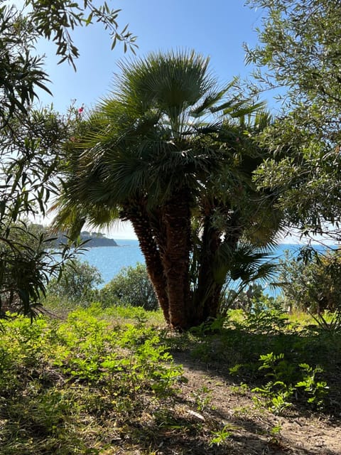 Villa Saracena Villa in Cefalu