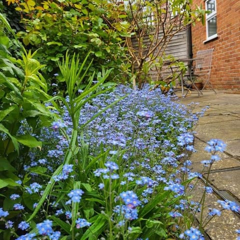 Spring, Garden