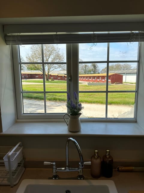 View (from property/room), Kitchen or kitchenette