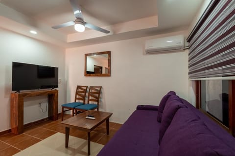 TV and multimedia, Living room, Seating area, fireplace, air conditioner