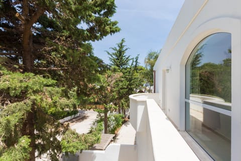 Patio, Garden, Garden view