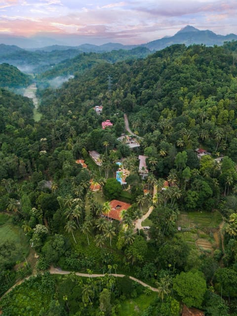 Bird's eye view, View (from property/room)