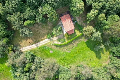 Property building, Garden view