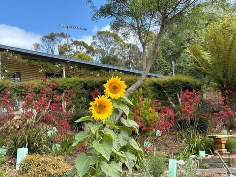 Bruny Serenade Casa in South Bruny