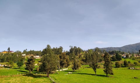 Natural landscape, Mountain view