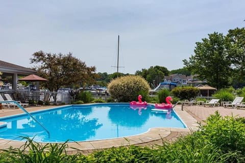 Blueberry Beach House indoor pool, hot tub House in South Haven