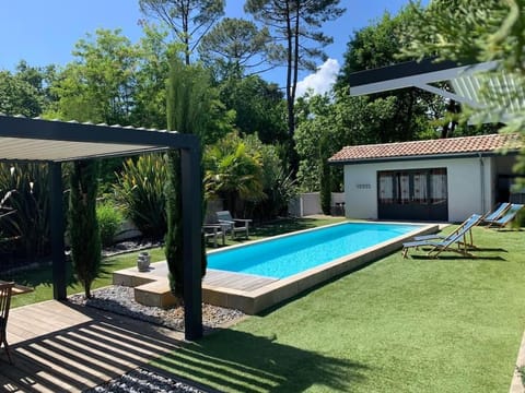 Garden, Garden, Pool view