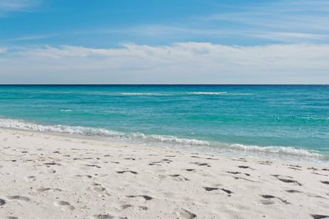 Dolphins & Dunes House in South Walton County