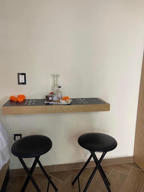 La Casa de las flores AIRBNB Apartment in Morelia