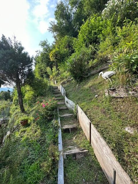 Casa Lilia House in Lugano