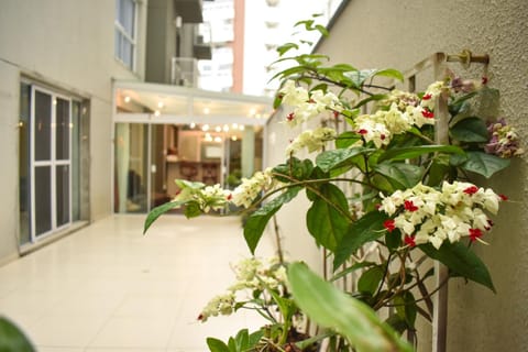 Solarium, Balcony/Terrace