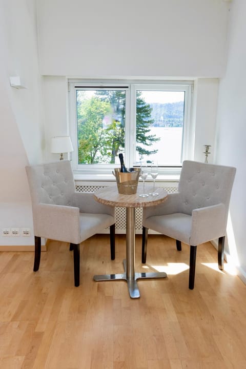 Lake view Apartment in Zurich City