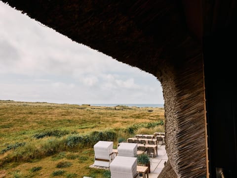 Day, Natural landscape, Living room, Seating area