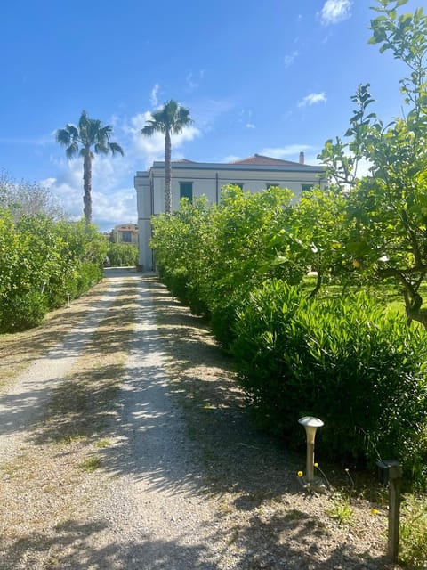 Property building, Day, Garden view